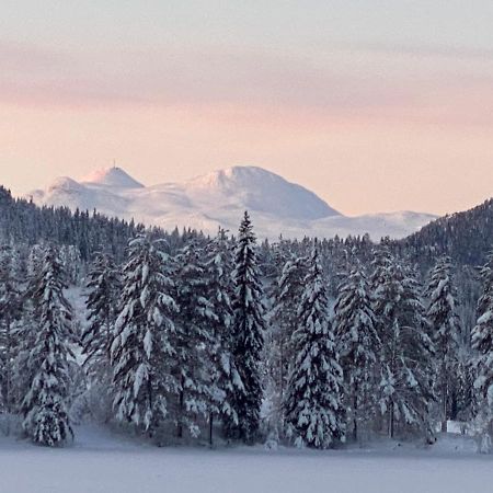 Tuddal Hyttegrend, Gamlestugu, Telemark Bagian luar foto