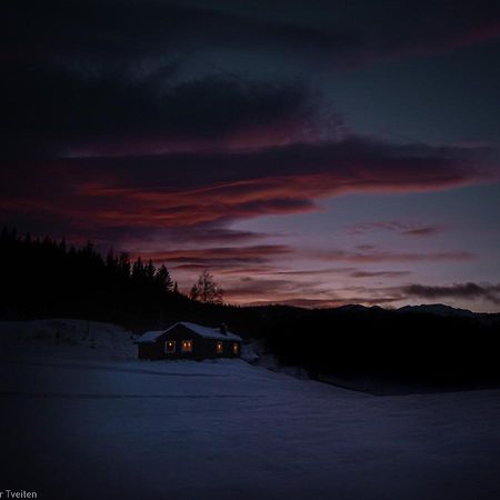 Tuddal Hyttegrend, Gamlestugu, Telemark Bagian luar foto