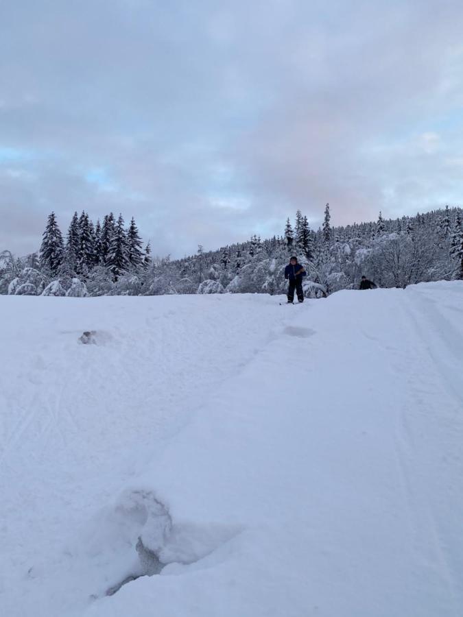 Tuddal Hyttegrend, Gamlestugu, Telemark Bagian luar foto